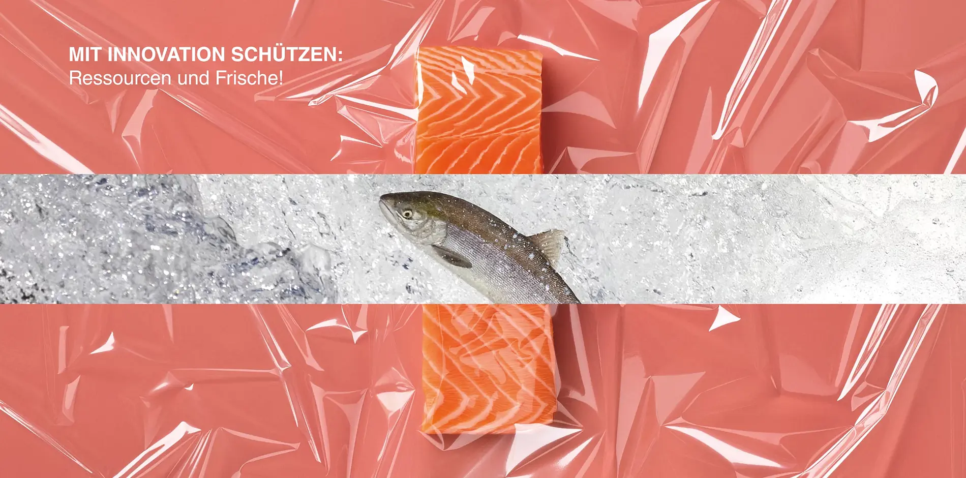 Petroplast_quer_Lachs_2-scaled.webp